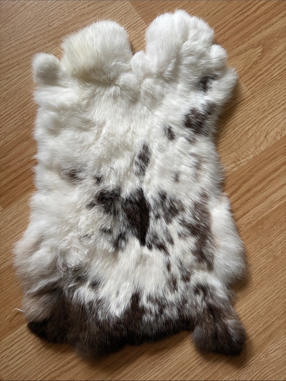 B0259 natural rabbit fur pelt